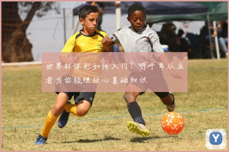 世界杯体彩如何入门？听十年从业者为你梳理核心基础知识