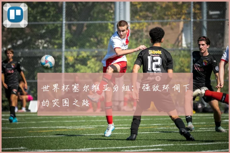 世界杯塞尔维亚分组:强敌环伺下的突围之路