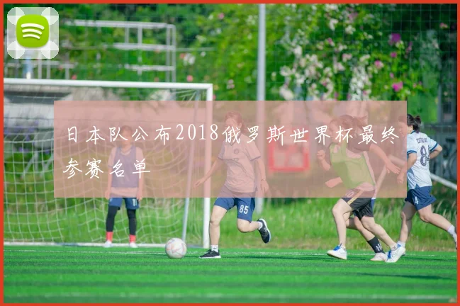 日本队公布2018俄罗斯世界杯最终参赛名单