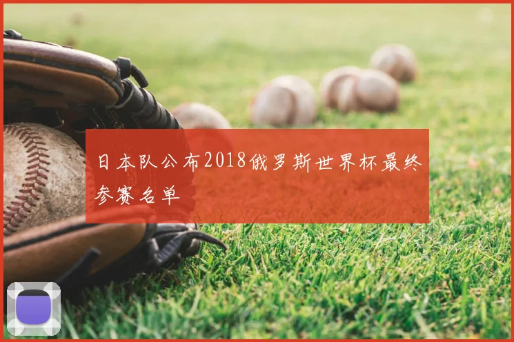 日本队公布2018俄罗斯世界杯最终参赛名单